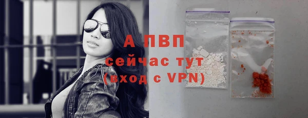 ПСИЛОЦИБИНОВЫЕ ГРИБЫ Вязники